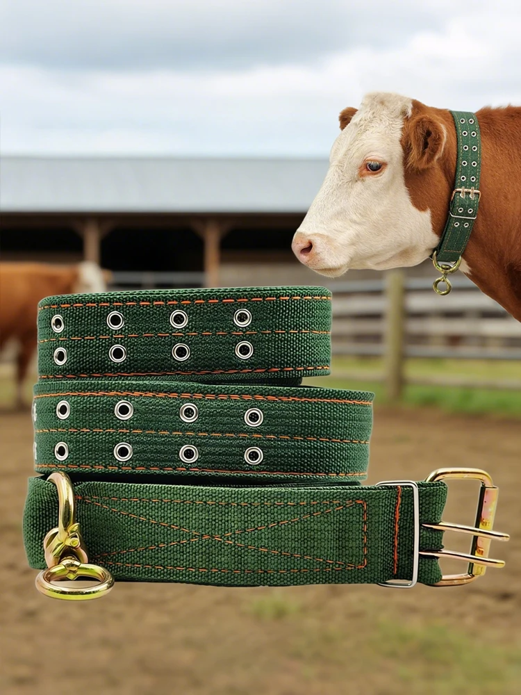 Collar para ganado en uso