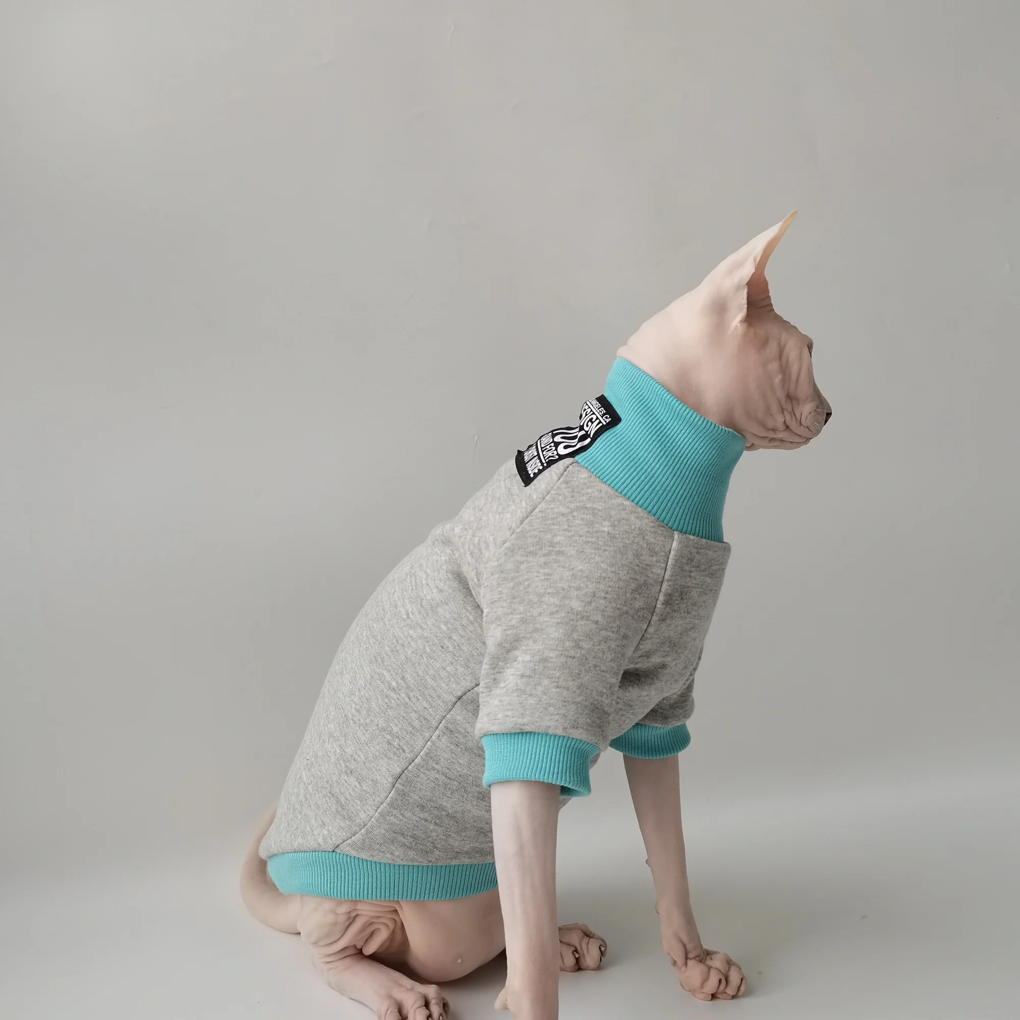 Gatito con la prenda puesta