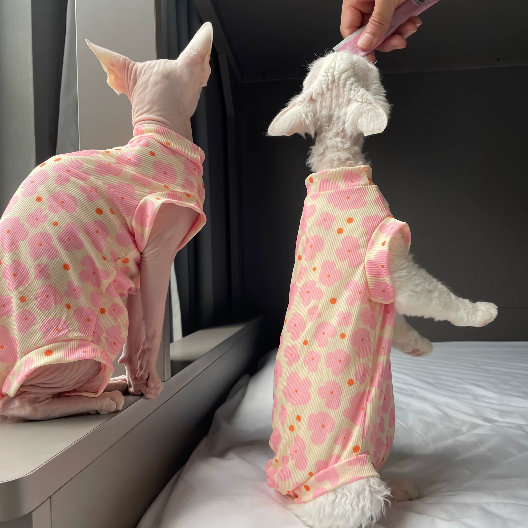 Pijama mono floral rosa para gatos Sphynx, suave y elástico - imagen 4