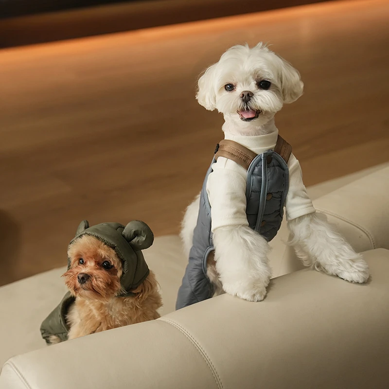 Pantalón mono diseño otoñal para perro