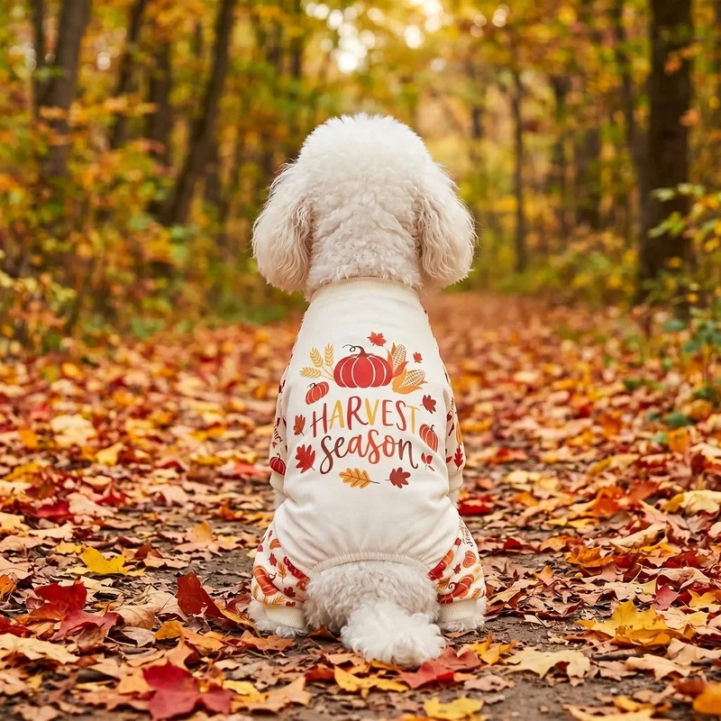 Pijama otoñal con estampado de calabaza para perros y gatos - imagen 5