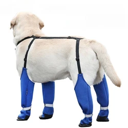 Zapatos transpirables de verano para perros – Suela antideslizante para paseos