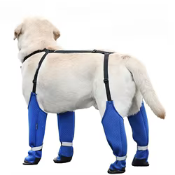 Zapatos para perros transpirables de verano – Antideslizantes y resistentes para paseos
