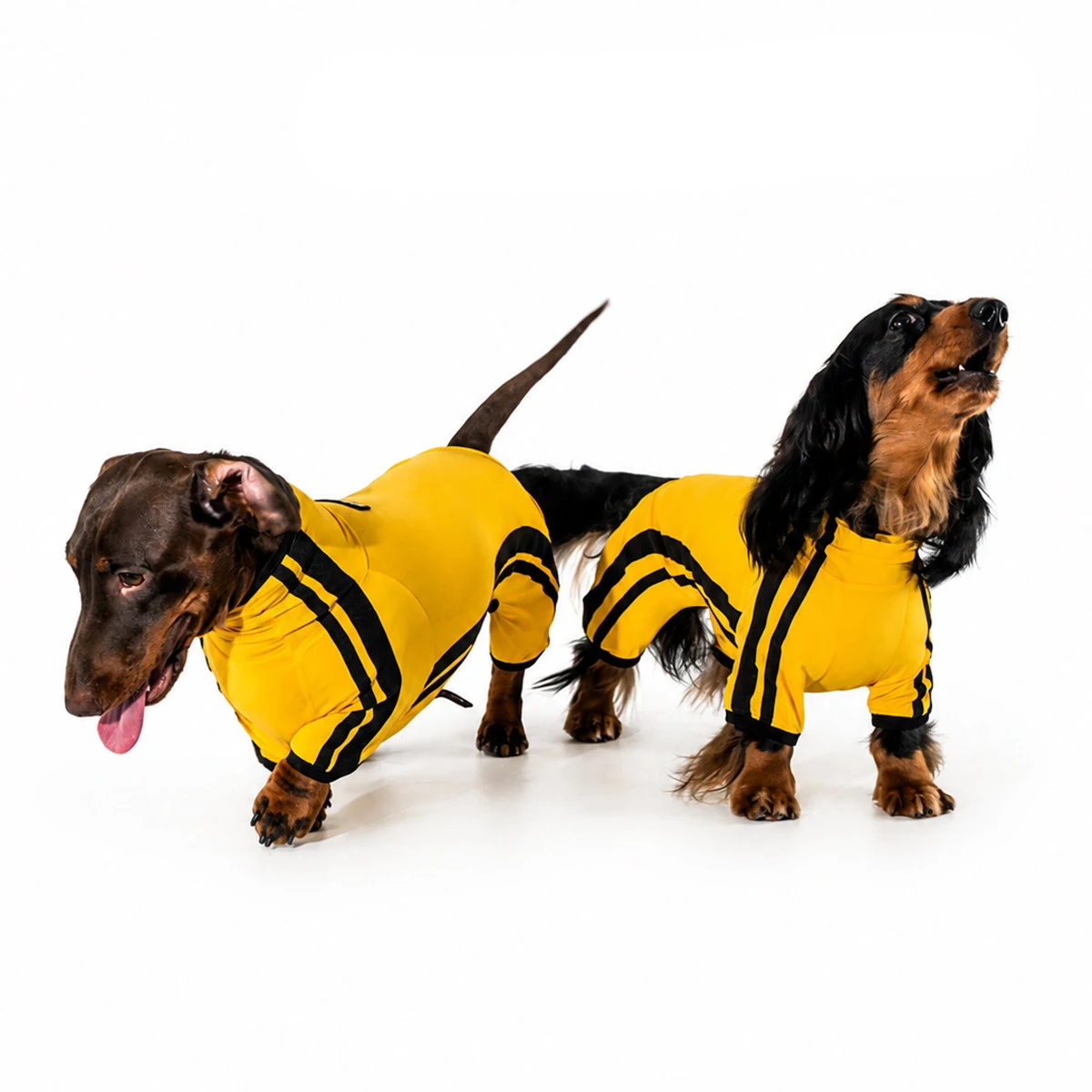 Traje anti-insectos de verano transpirable para perros Dachshund - imagen 3
