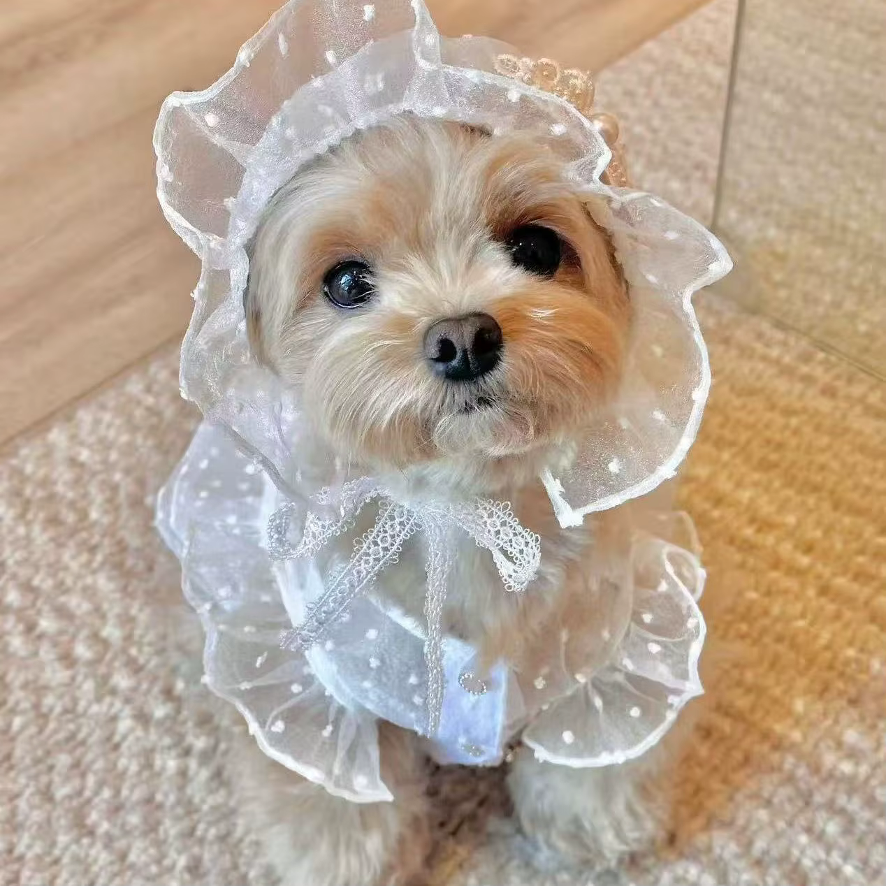 Vestido de princesa de encaje para perros pequeños y gatos - imagen 3