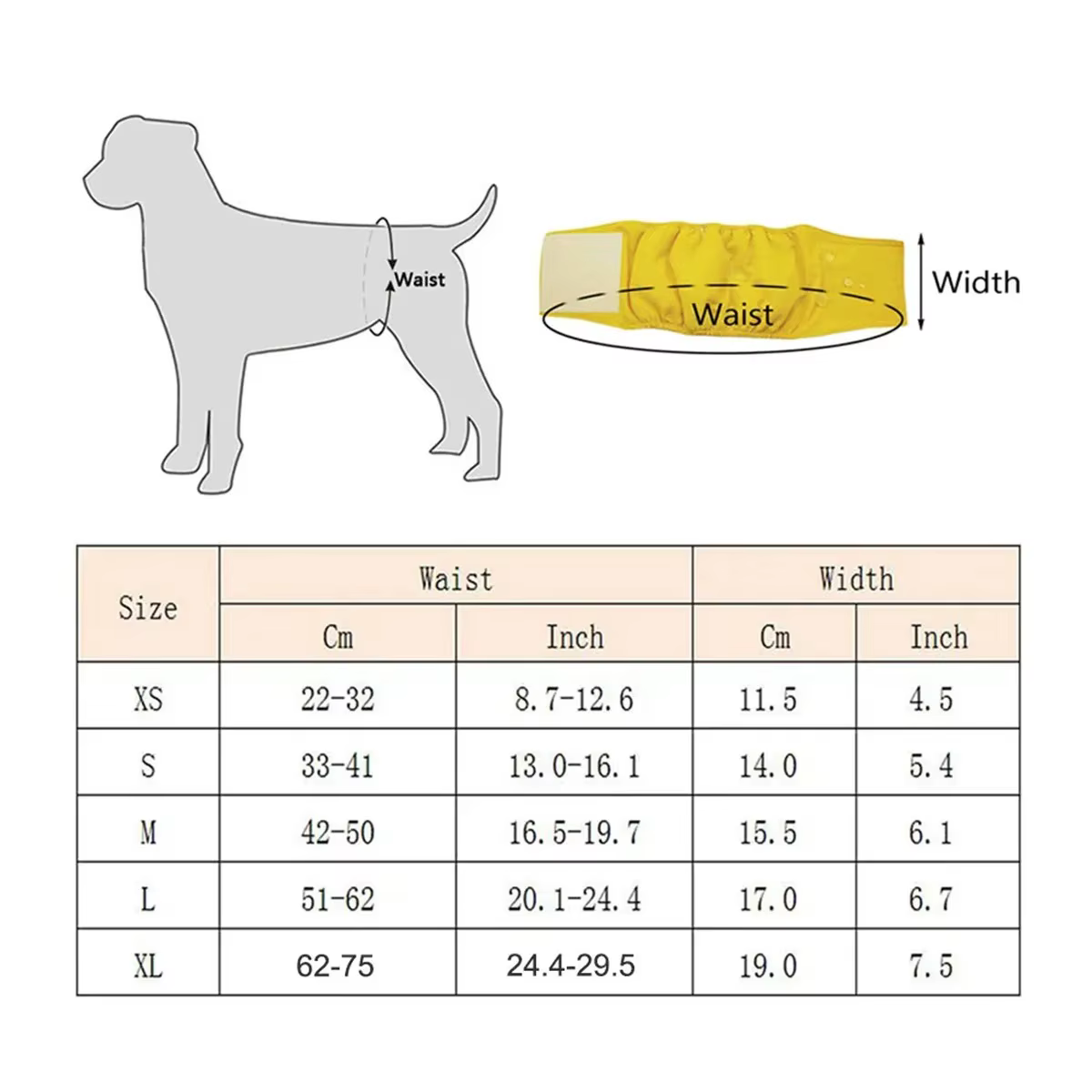 Pañal reutilizable para perro macho – Braga abdominal lavable - imagen 2