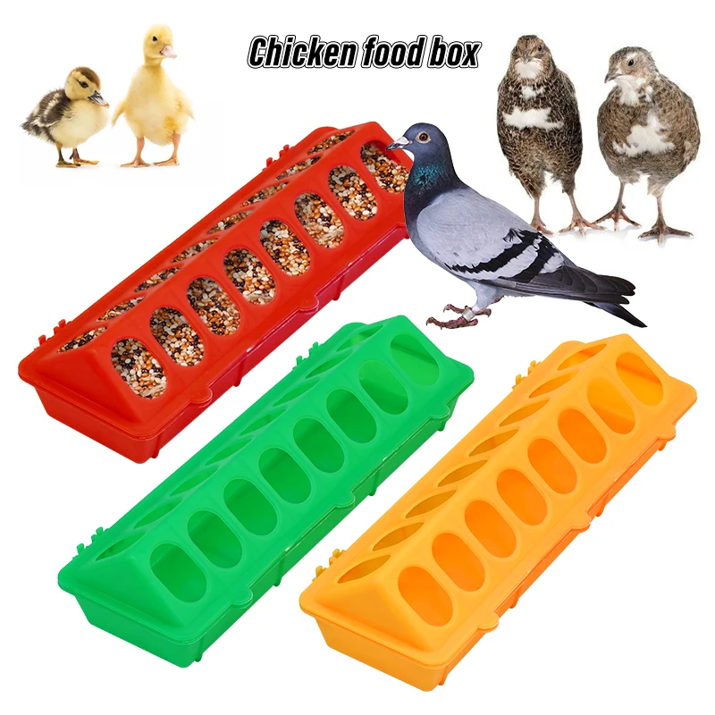 Alimentador de aves para pollitos - vista principal