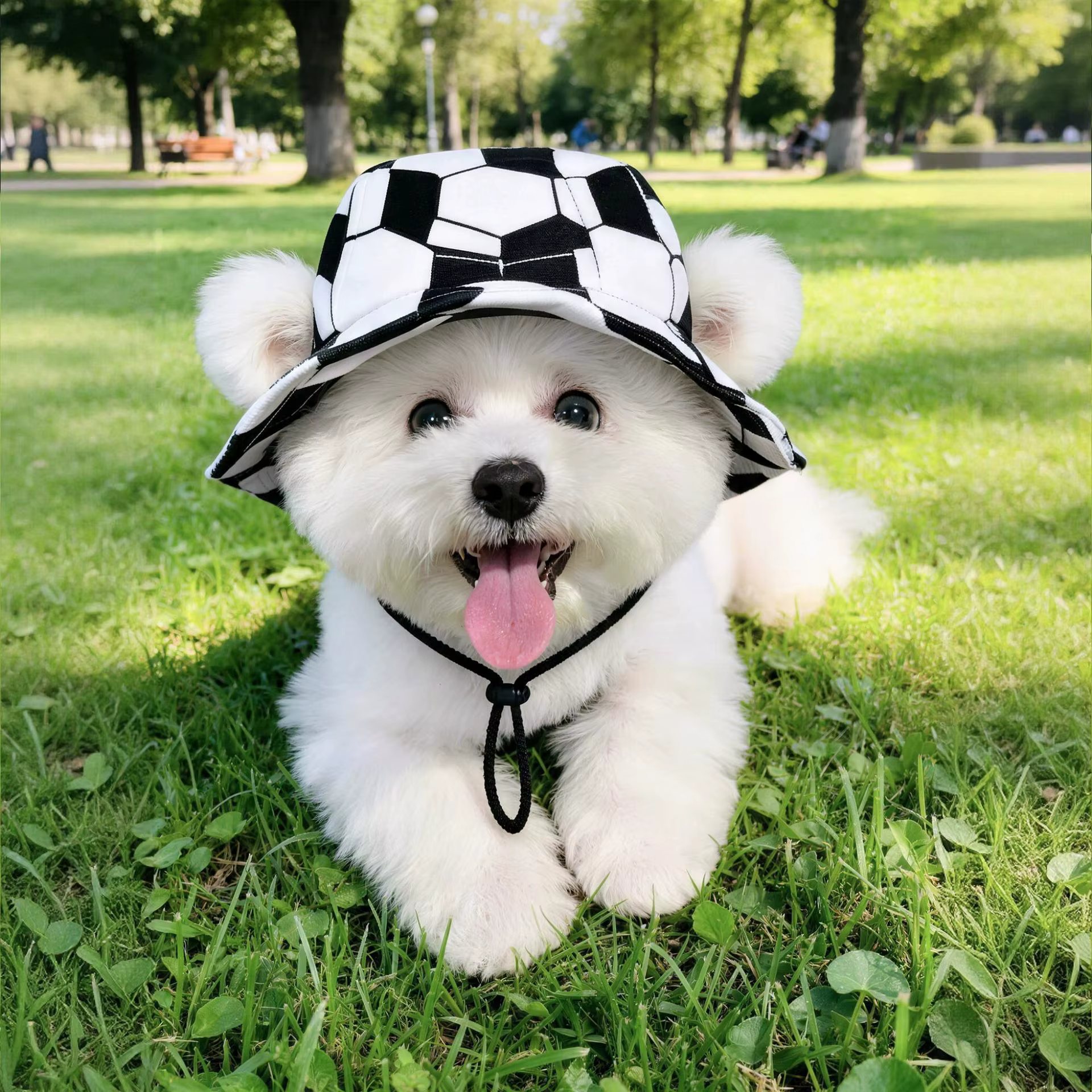 Gorro de protección solar para perros pequeños con sombrero decorativo - imagen 2