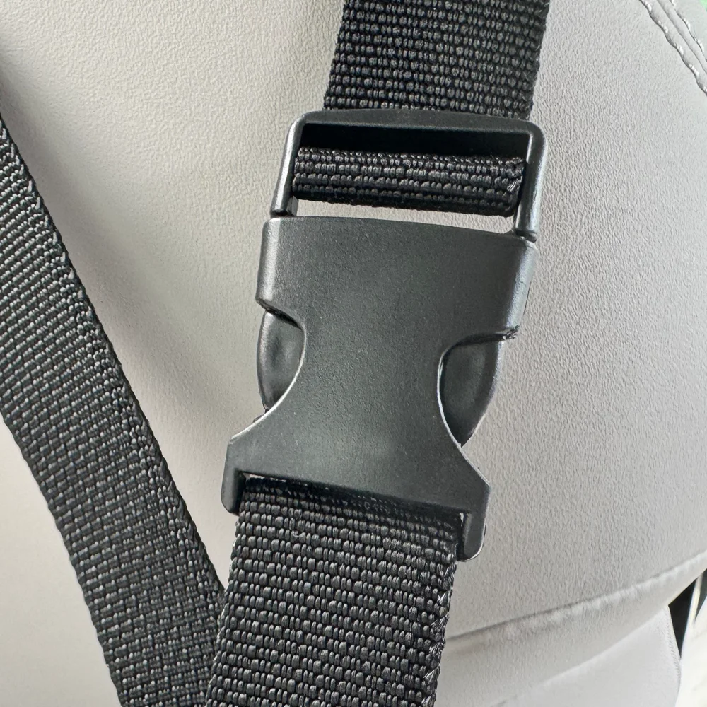 Silla de Auto para Mascotas – Cesta Trasera con Cojín Reforzado - imagen 2