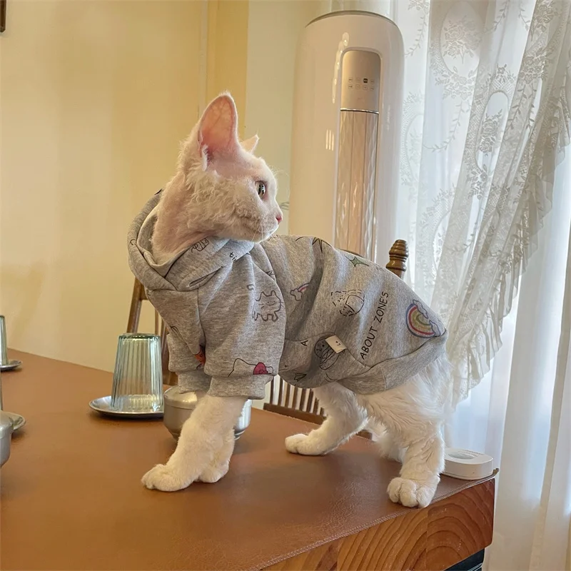 Gato Devon Rex con jersey en interior