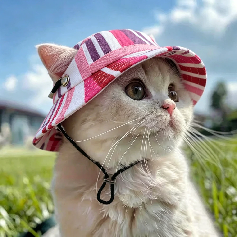 Sombrero lona con protección solar para gatos Sphynx – Rayas