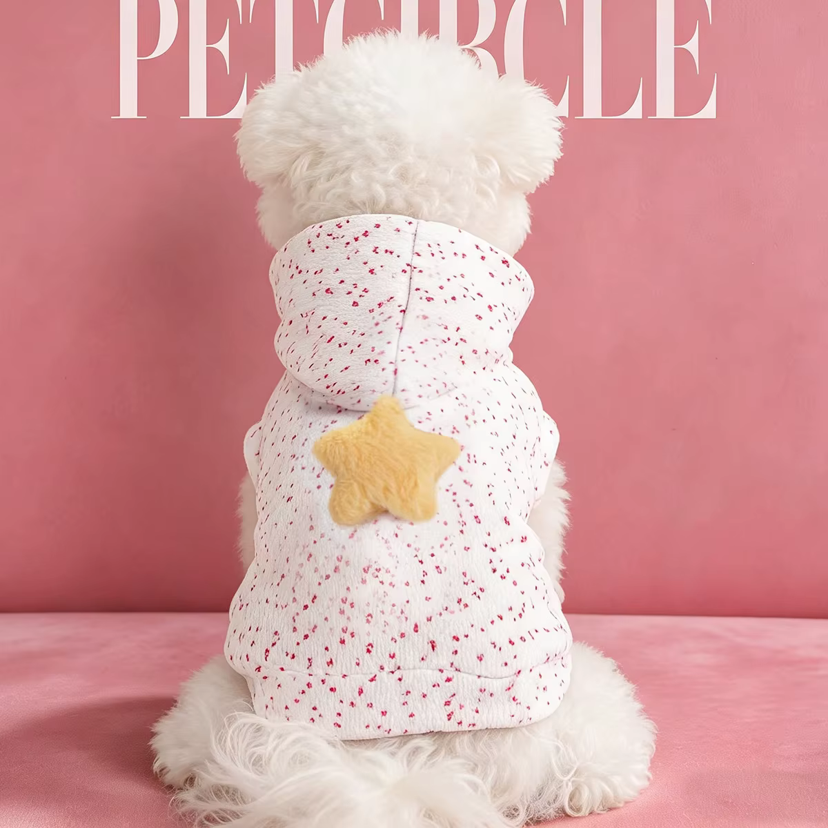 Sudadera Capucha Estrellas para Perro Pequeño – Otoño e Invierno - imagen 2