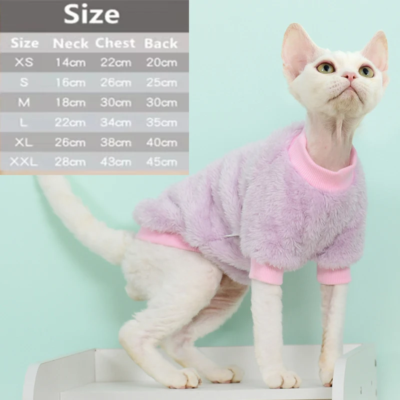 Mono de lana azul marino en gato Sphynx