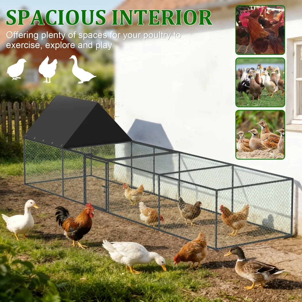 Jaula exterior grande para gallinas, patos y conejos con malla - imagen 2