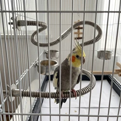 Soporte flexible de acero inoxidable para loros, juguete curvable