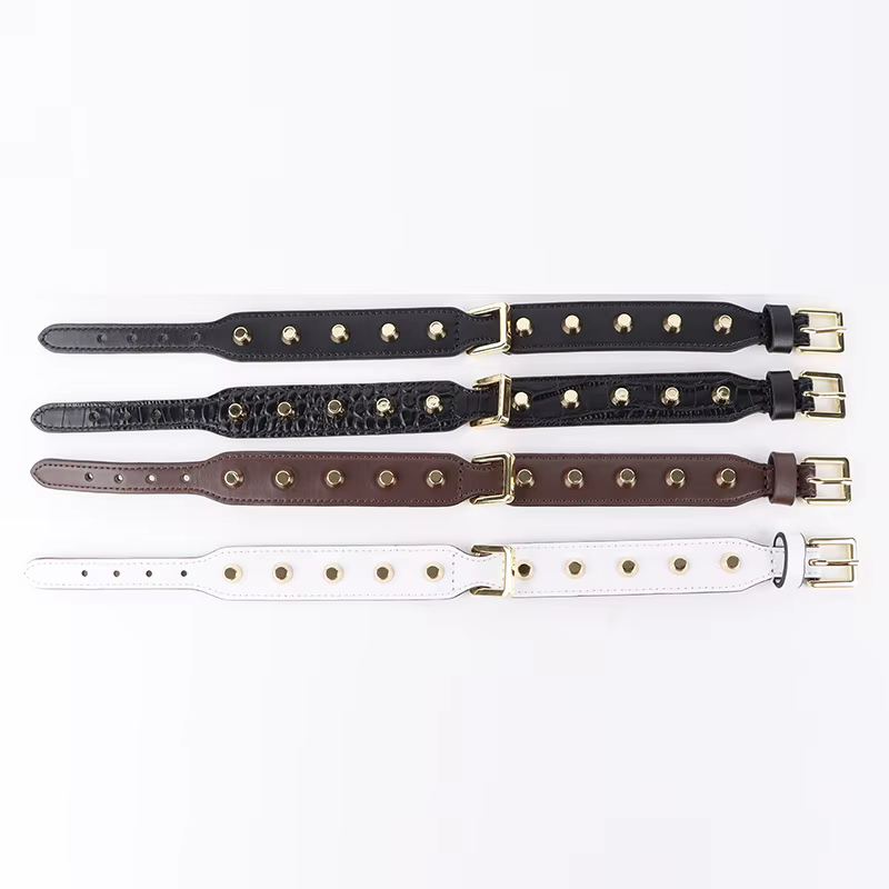 Collar de cuero genuino con remaches dorados para perros pequeños y medianos