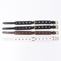 Collar de cuero genuino con remaches dorados para perros pequeños y medianos