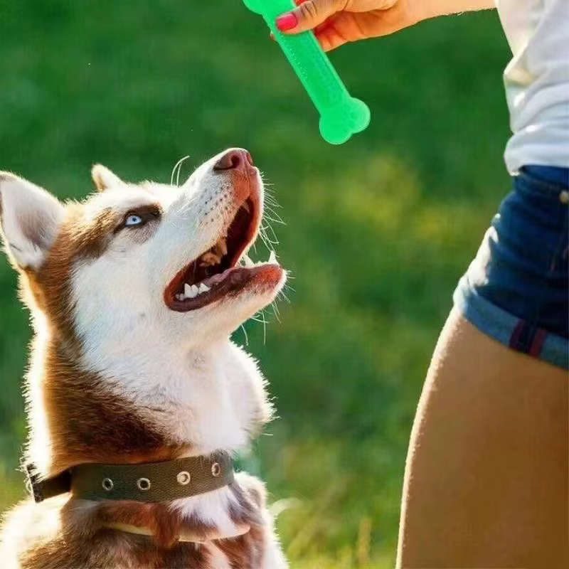 Juguete Dental para Perros – Hueso de Goma cepillo para Mascotas