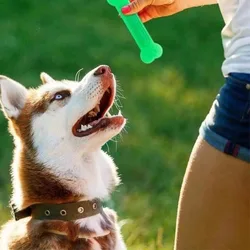 Juguete Dental para Perros – Hueso de Goma cepillo para Mascotas