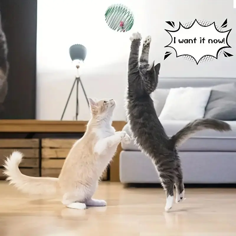 Bolas rodantes para gatos