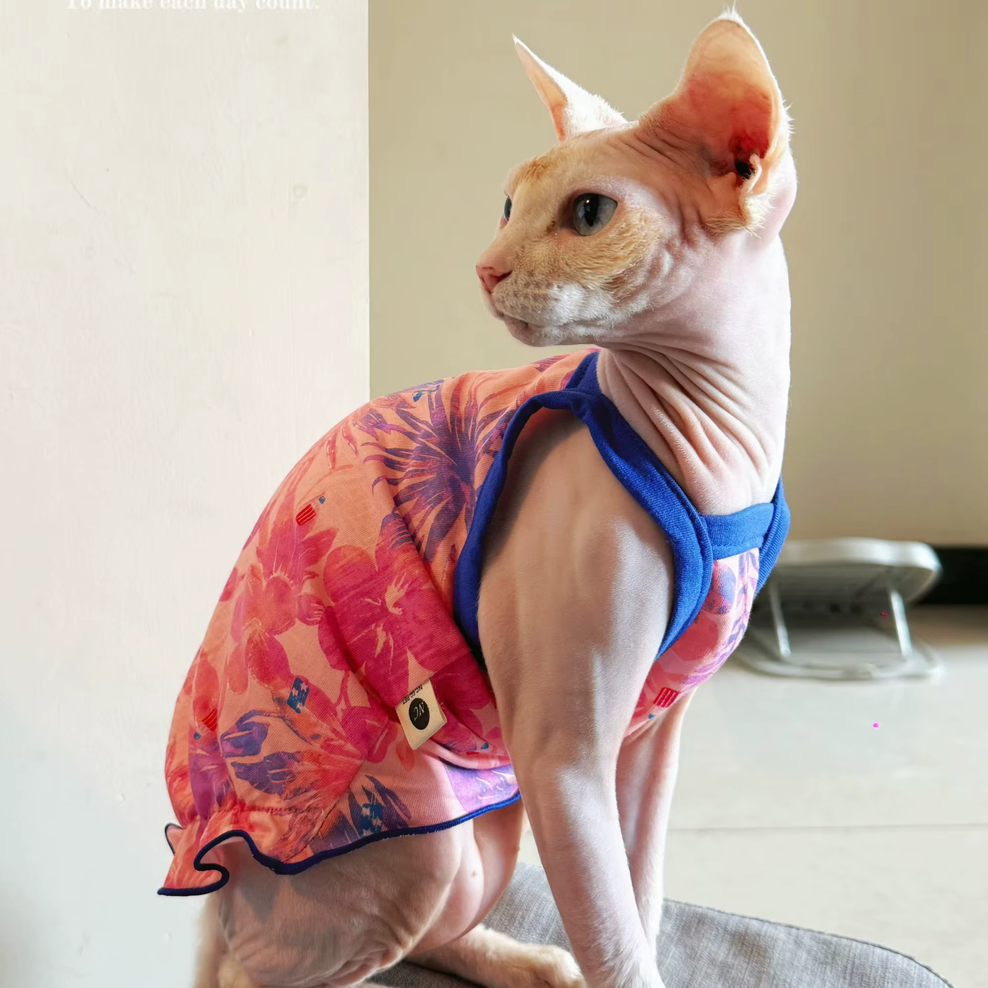 Vestido floral verano para gato Sphynx y Devon Rex - imagen 3
