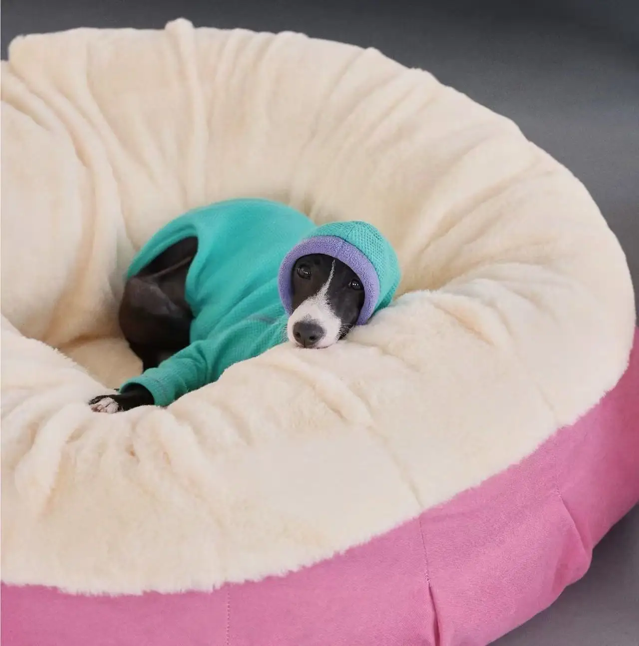 Cuello alto de la sudadera para perro