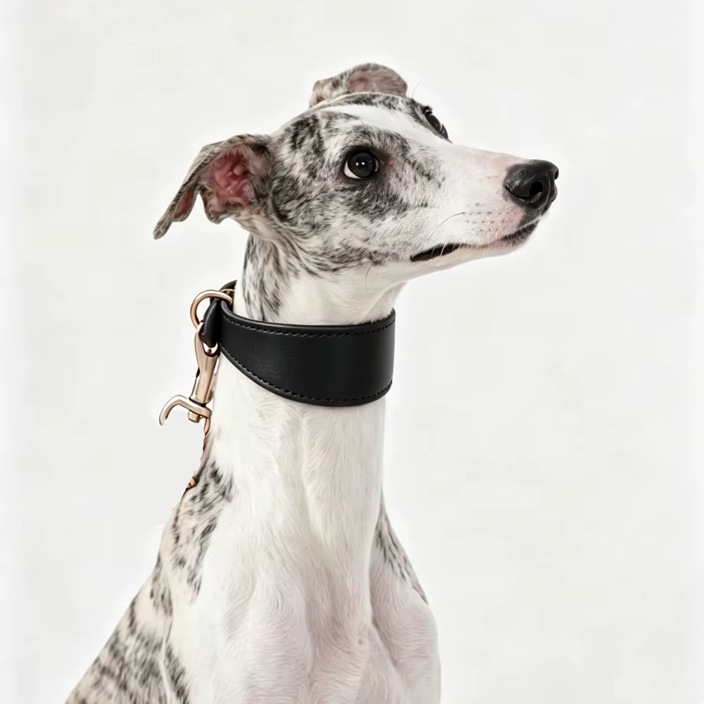 Collar de cuero vacuno ajustable multicolor para Galgos y Whippets