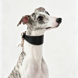 Collar de cuero vacuno ajustable multicolor para Galgos y Whippets