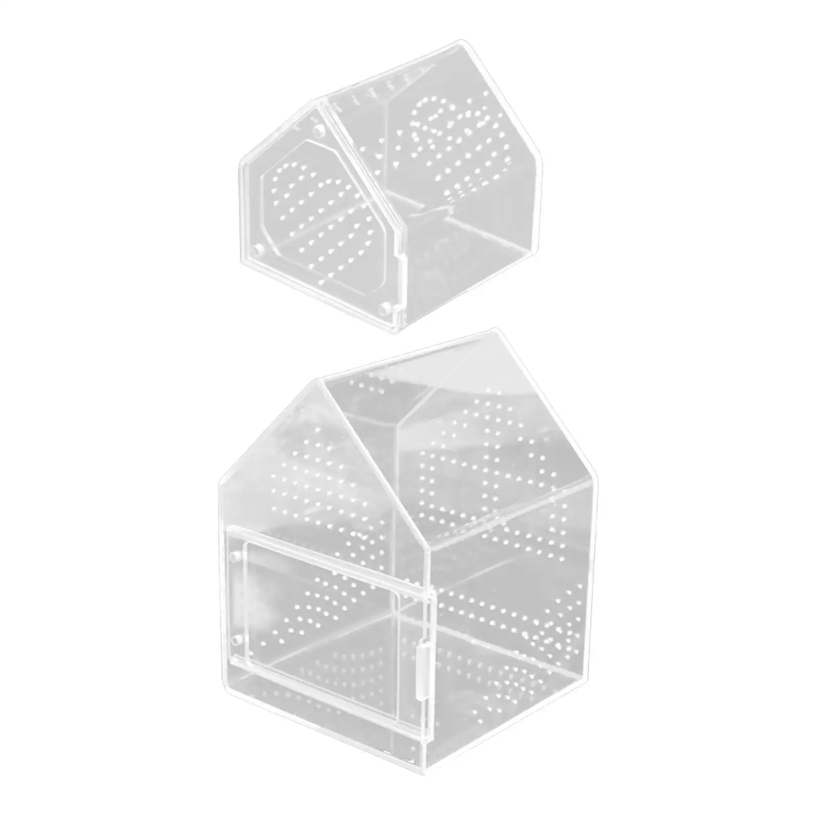 Terrario de acrílico transparente para arañas saltadoras