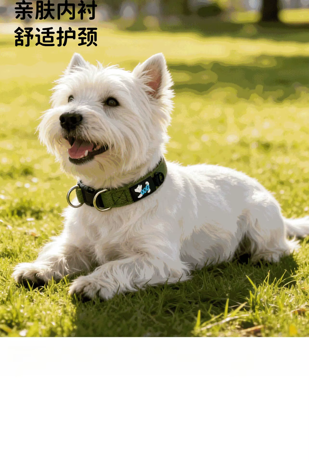 Collar ajustable y suave para perros