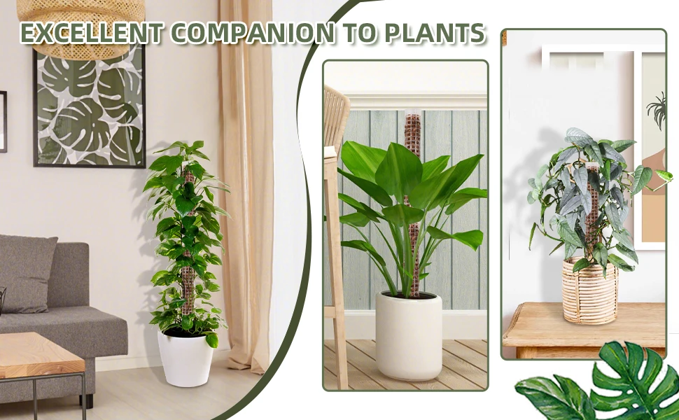 Plantas trepadoras en soporte