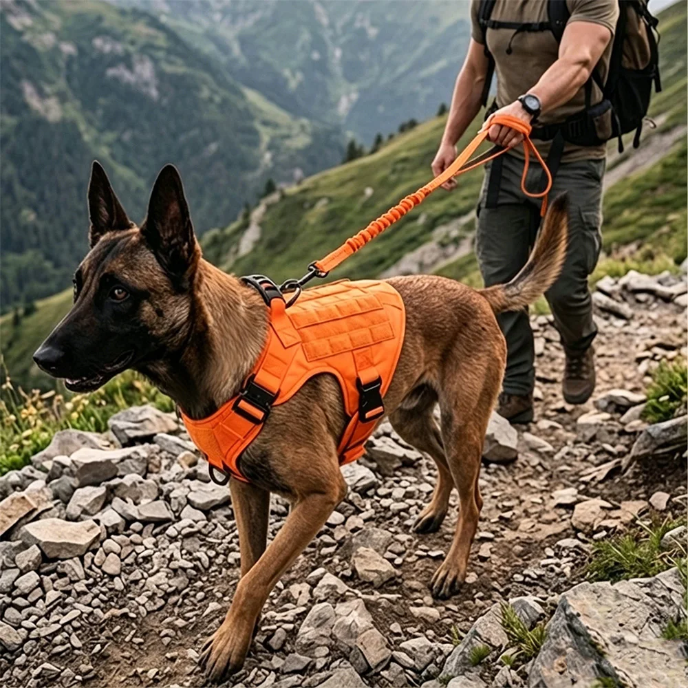Arnés táctico naranja con conjunto ajustable