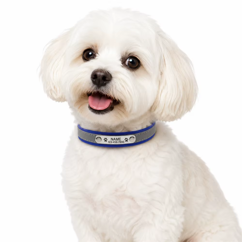 Collar reflectante de cuero PU personalizado para perro ajustable - imagen 5