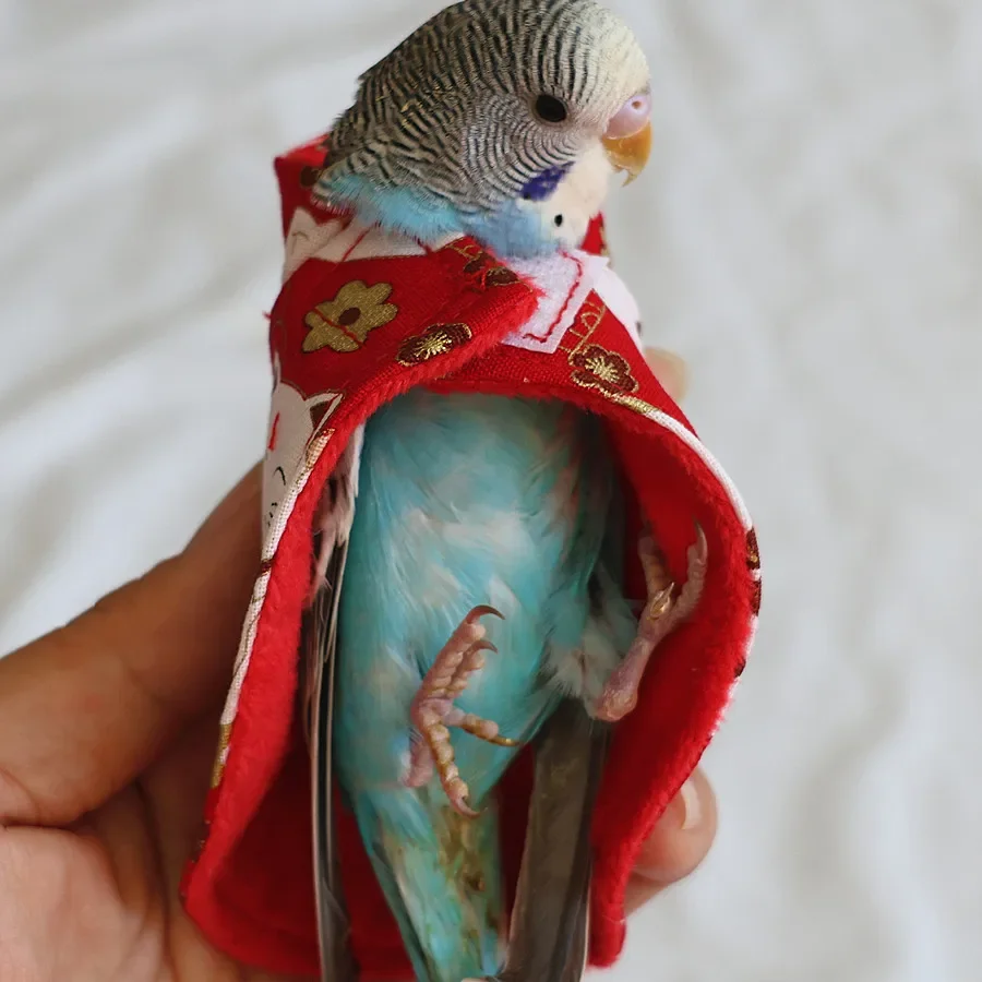 Lovely Bird Clothes Colorful Cover - Opciones de color