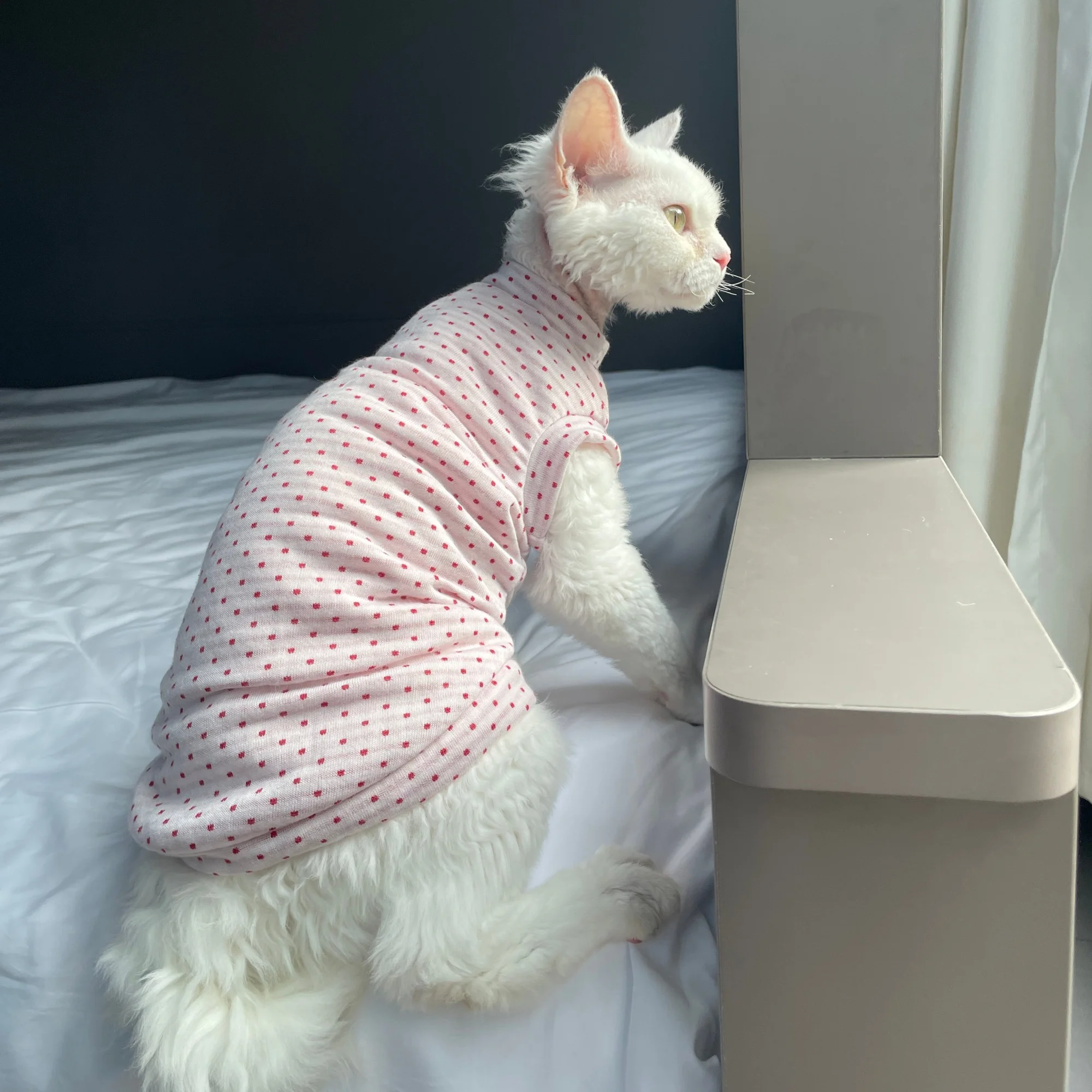 Chaleco verano transpirable con lunares para gatos Sphynx y Devon Rex - imagen 4