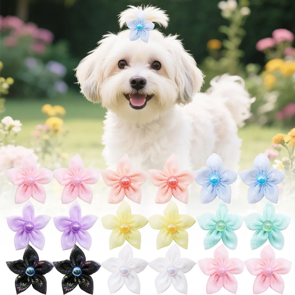 Lazos de encaje surtidos para perros pequeños