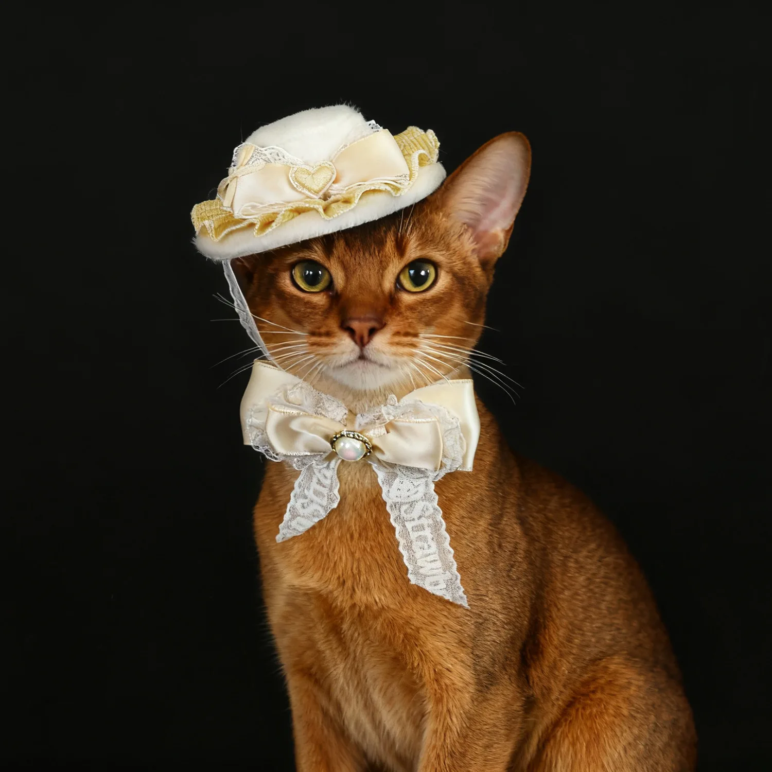 Sombrero de encaje estilo retro para mascotas