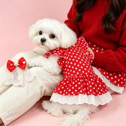 Vestido de verano con lunares para perros y gatos – Chihuahua, Bichón
