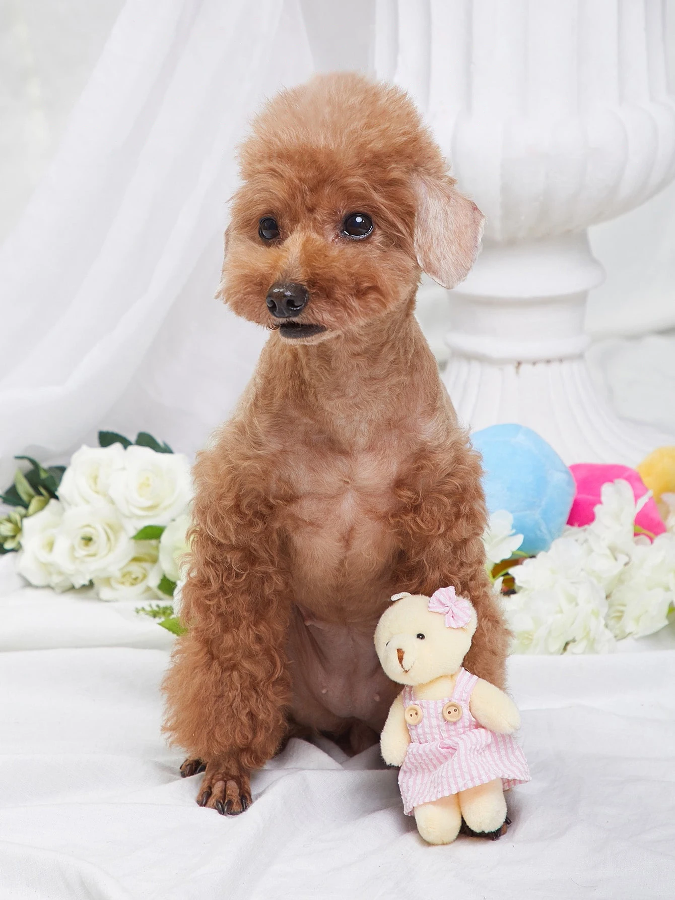 Peluche oso azul para perros pequeños