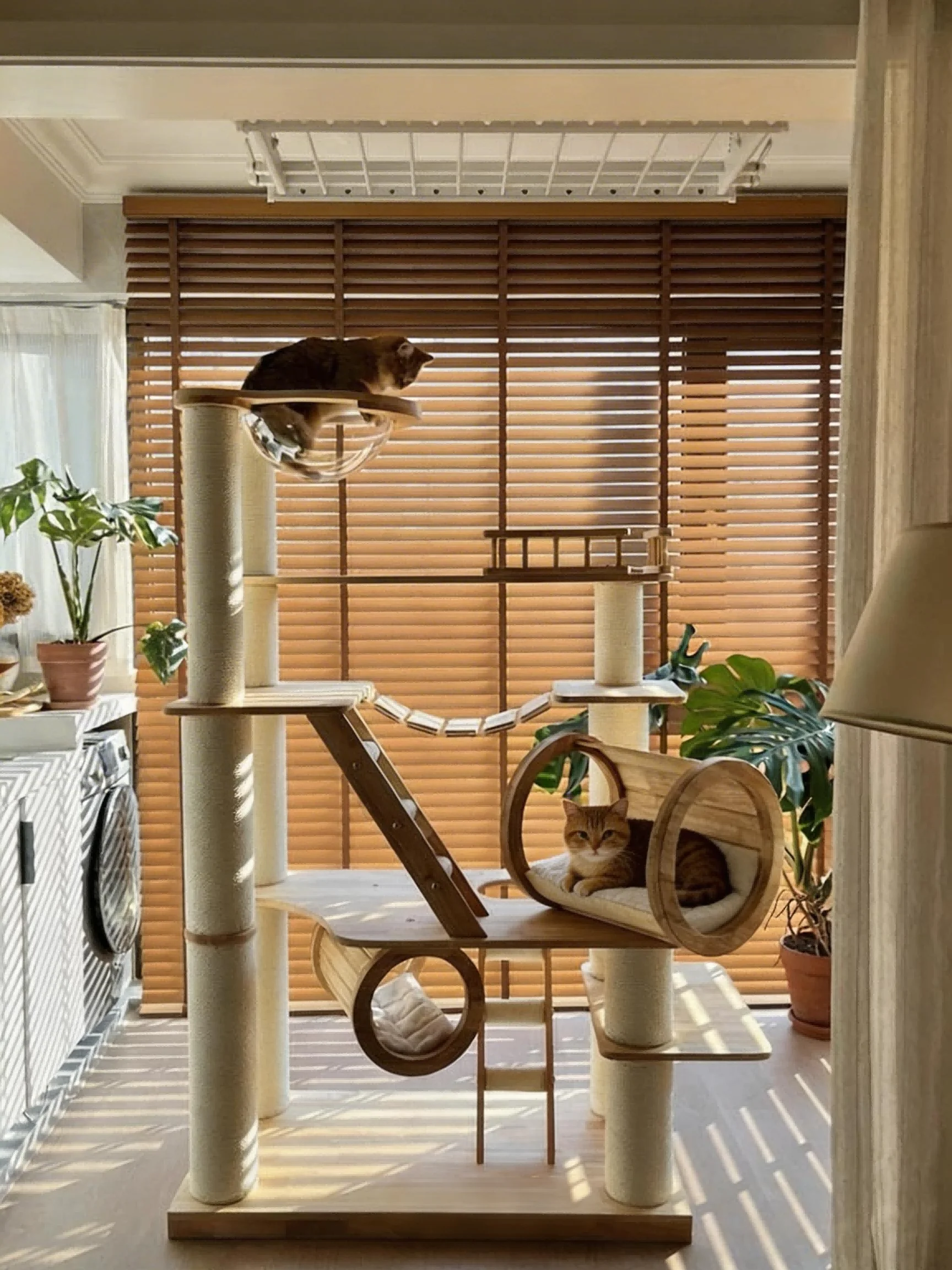 Árbol rascador para gatos montado en pared, vista frontal