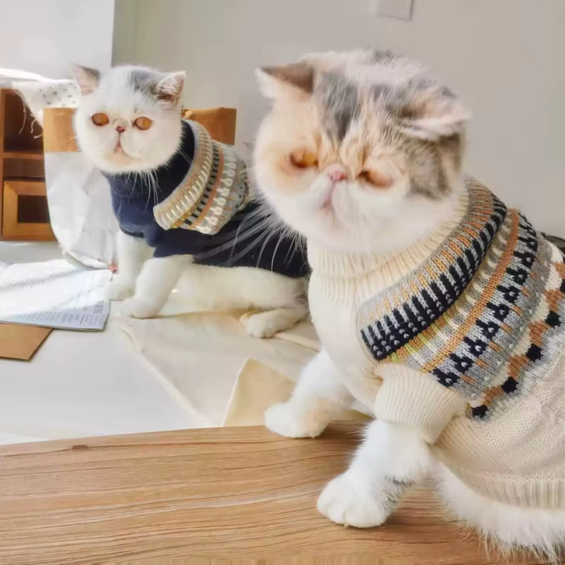 Ropa de punto para perro de invierno