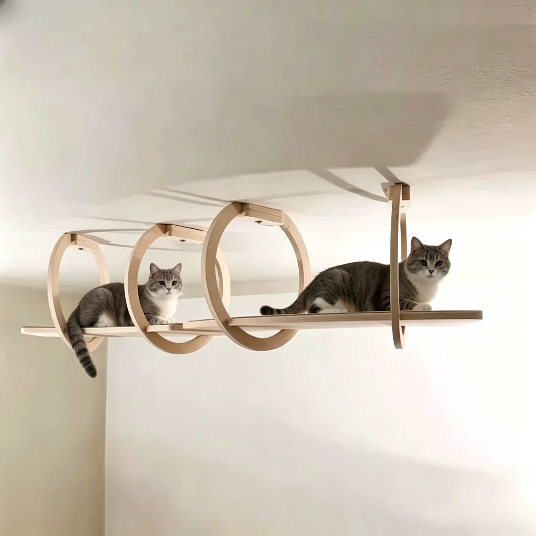 Pasarela de madera para gatos de pared, escalada y descanso - imagen 3