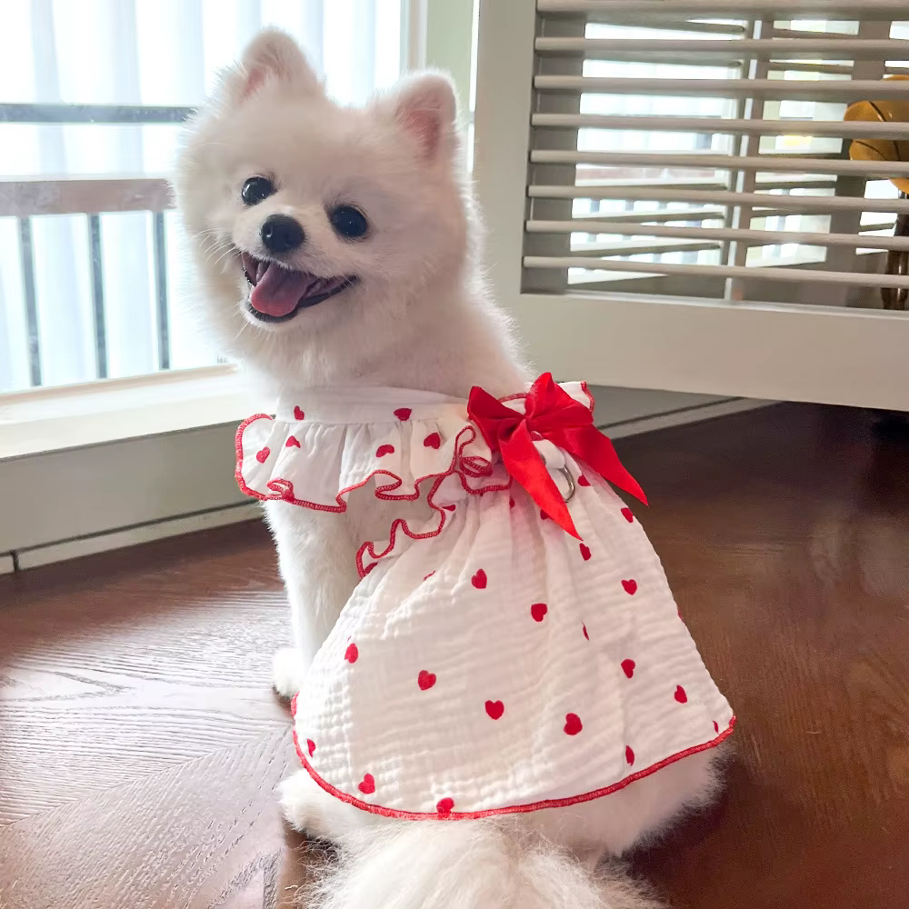 Vestido verano corazones para perros y gatos, Pomerania Chihuahua - imagen 5