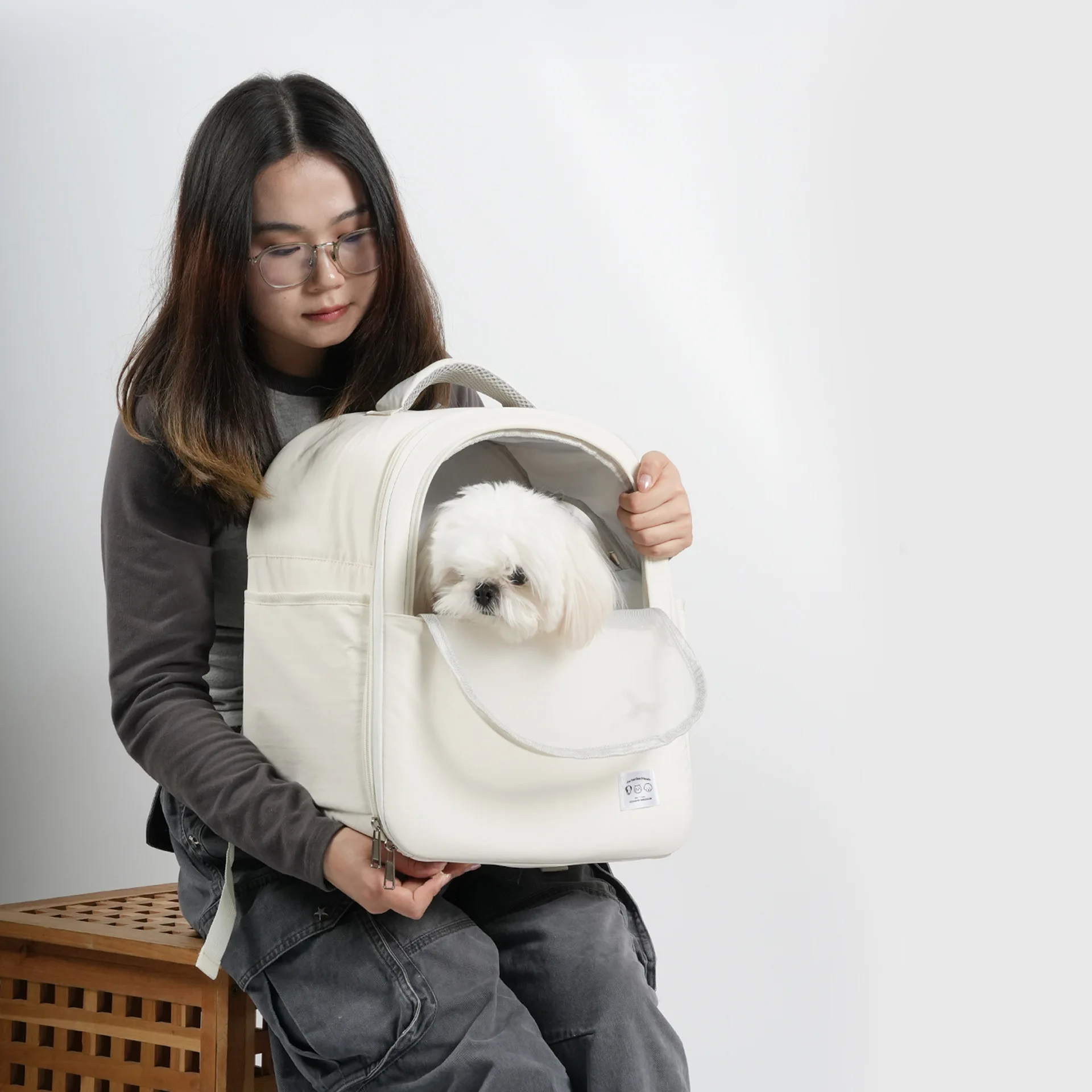 Bolsa de transporte y mochila para gatos, perros pequeños exterior