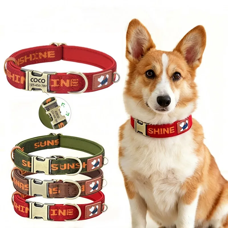 Collar Personalizado para Perro y Gato con Grabado de Nombre - imagen 5