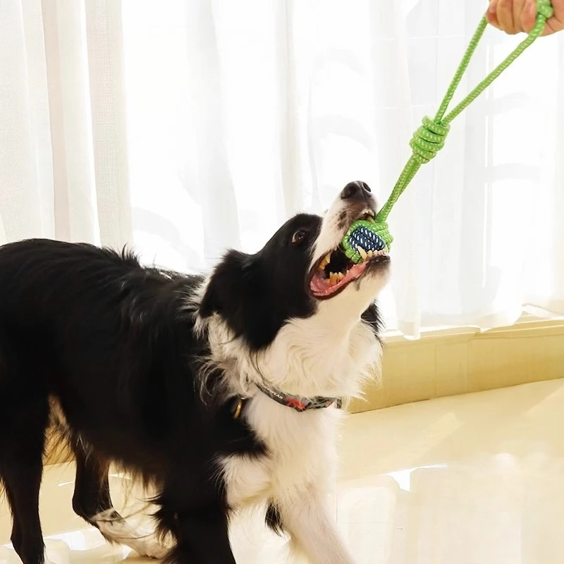 Juguete de cuerda para perros junto a otros accesorios
