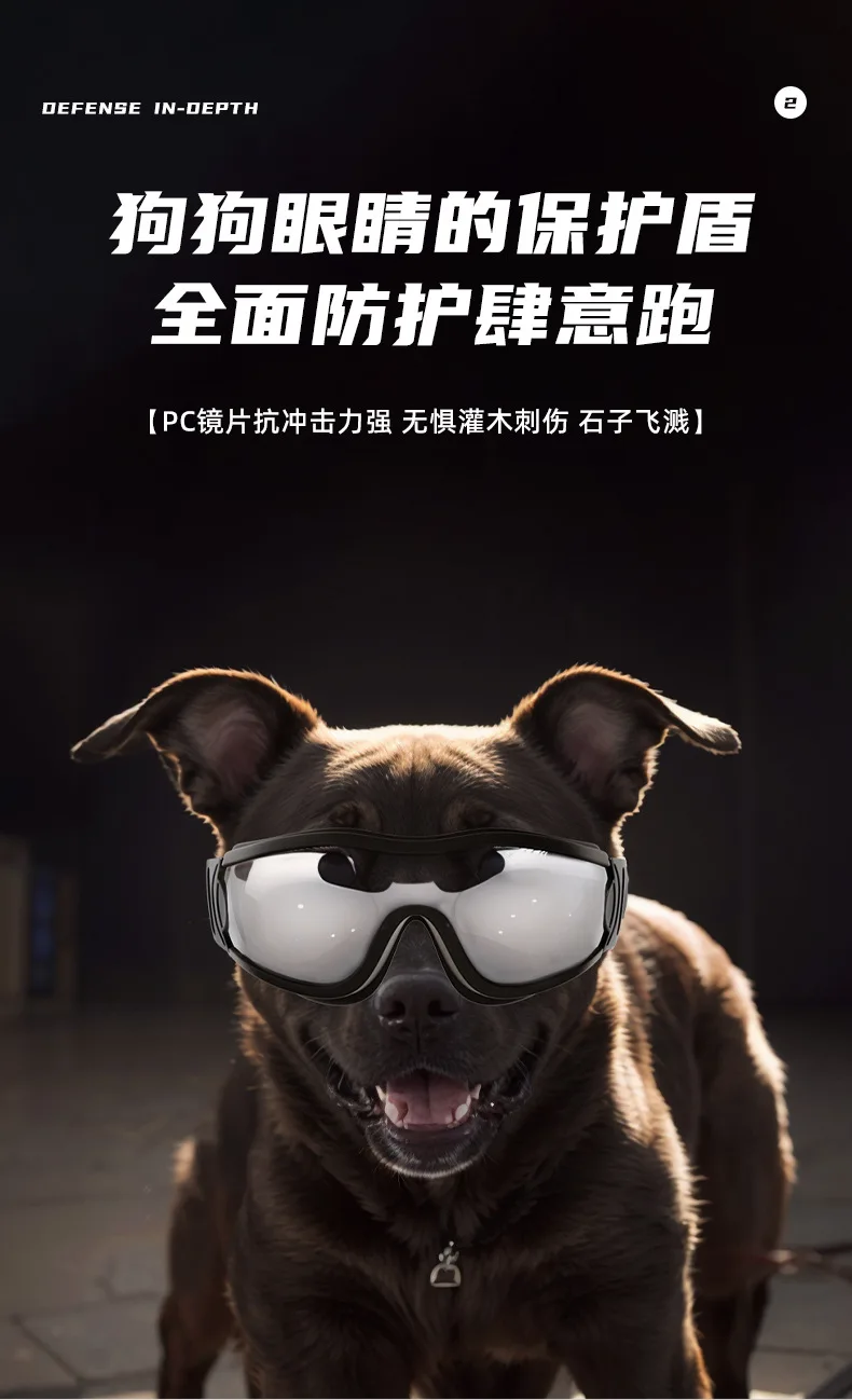 Gafas para mascota en playa