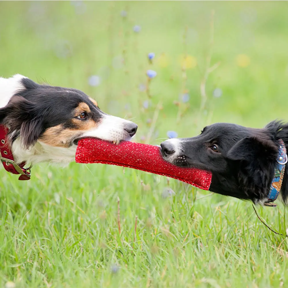 Perro jugando con el palo de entrenamiento