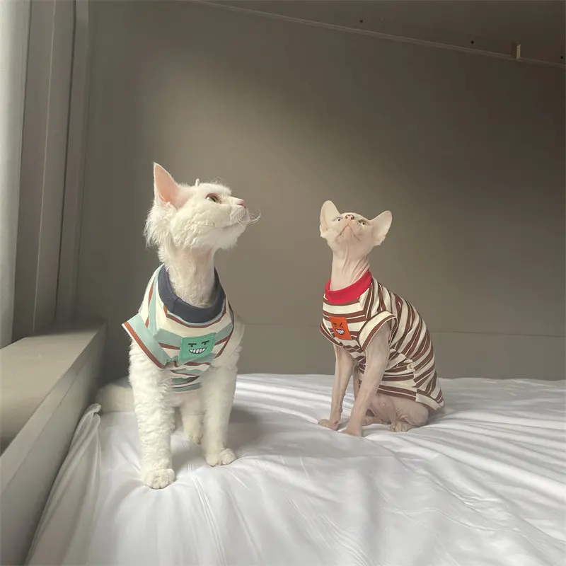 Camiseta verde para gato