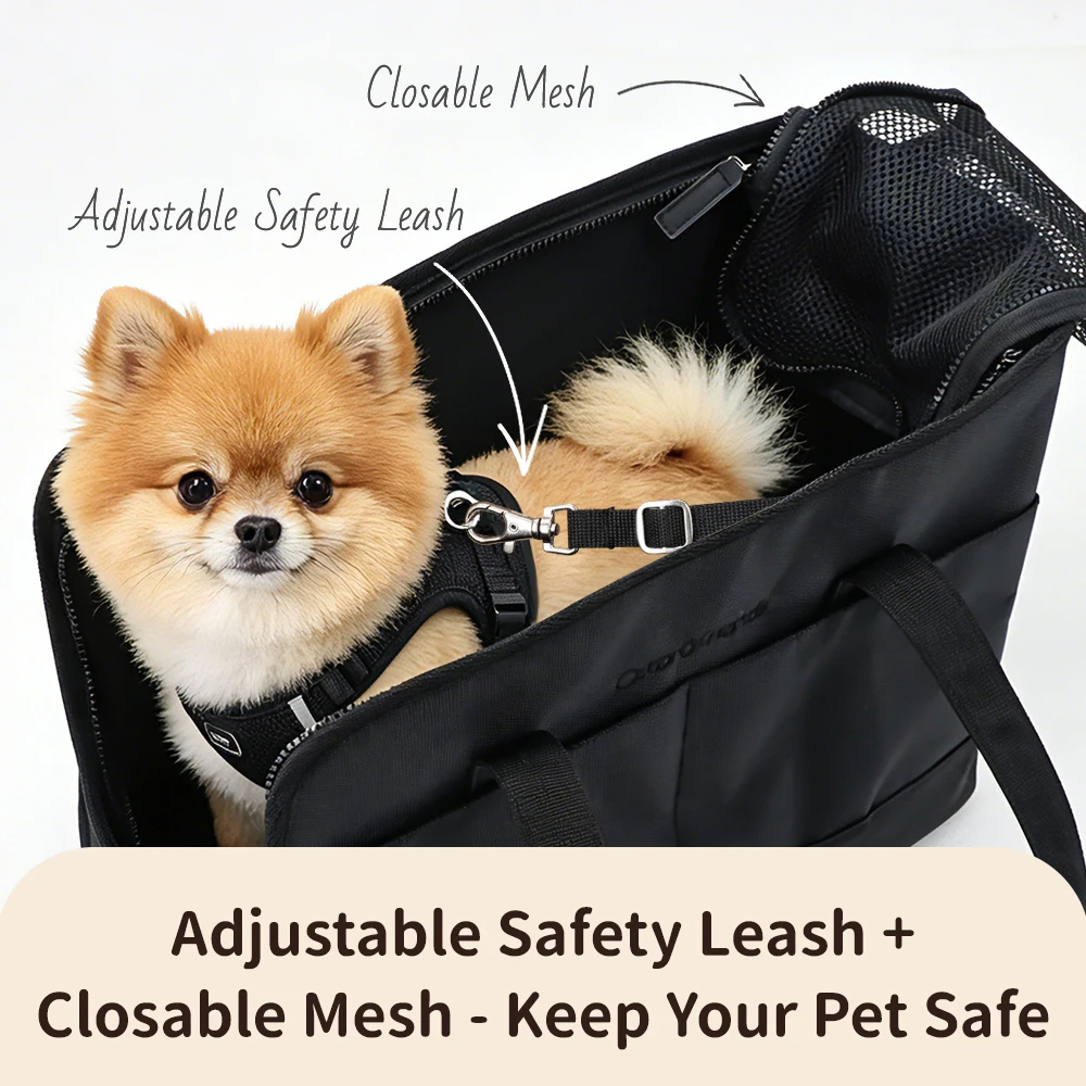 Transportín plegable para perros pequeños – Maletín de viaje con bolsillos - imagen 3